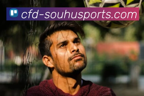 世界杯搜狐品牌故事