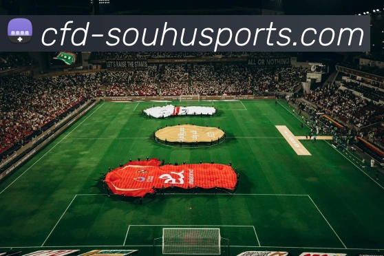 世界杯搜狐服务体系